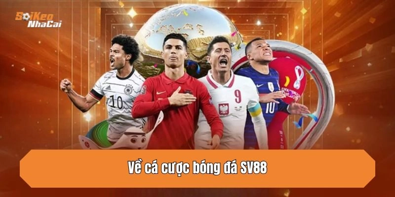 Về cá cược bóng đá SV88