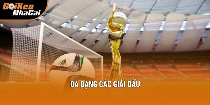 Luôn thống kê bảng xếp hàng đầy đủ mọi giải đấu từ lớn tới nhỏ