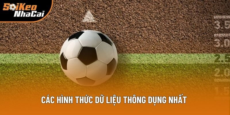 Các hình thức dữ liệu phổ biến nhất hiện nay Các hình thức dữ liệu phổ biến nhất hiện nay