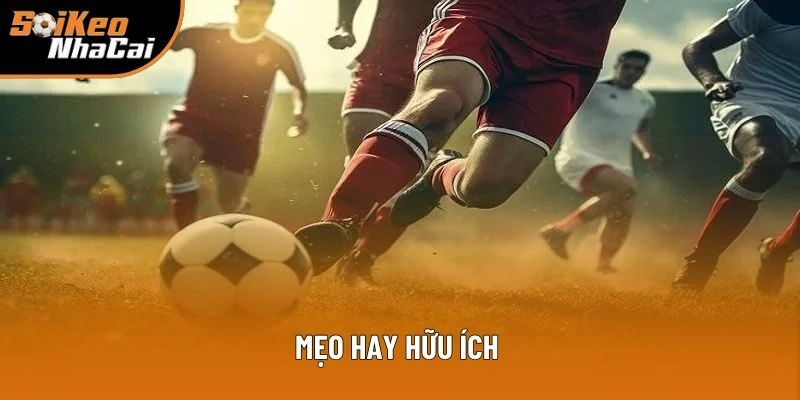 Mẹo hay nên dùng để tận dụng triệt để nhằm thu về lợi nhuận Mẹo hay nên dùng để tận dụng triệt để nhằm thu về lợi nhuận