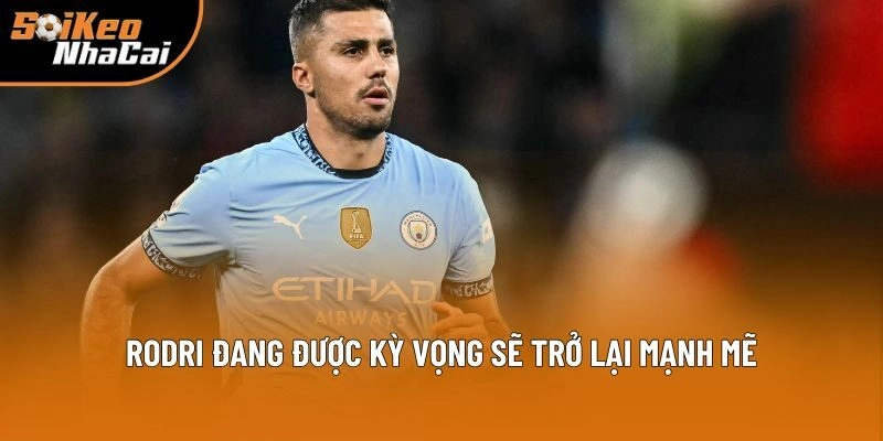 Rodri đang được kỳ vọng sẽ trở lại mạnh mẽ Rodri đang được kỳ vọng sẽ trở lại mạnh mẽ