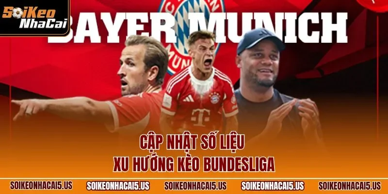 Cập nhật số liệu xu hướng kèo Bundesliga
