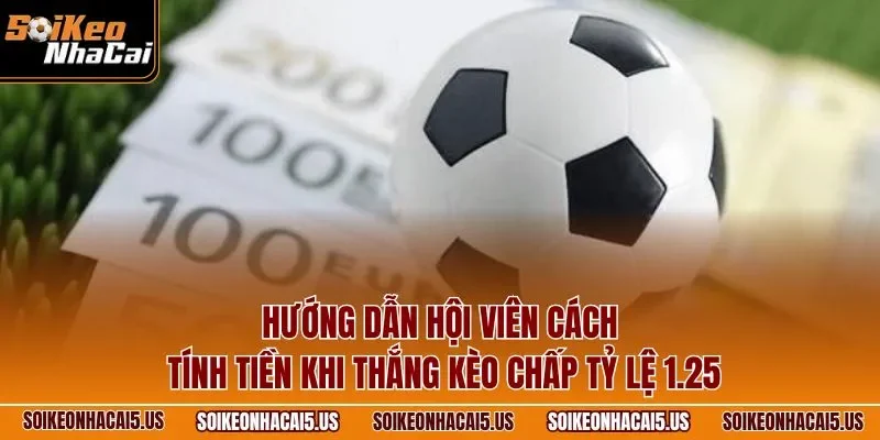 Hướng dẫn hội viên cách tính tiền khi thắng kèo chấp tỷ lệ 1.25