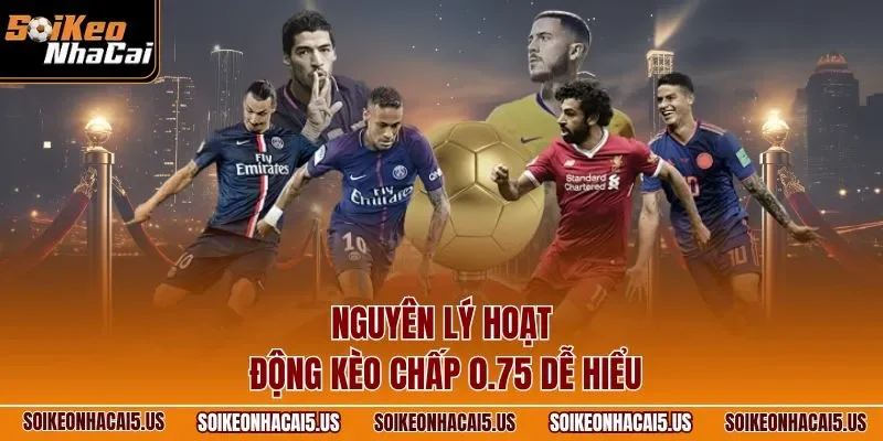 Nguyên lý hoạt động kèo chấp 0.75 dễ hiểu